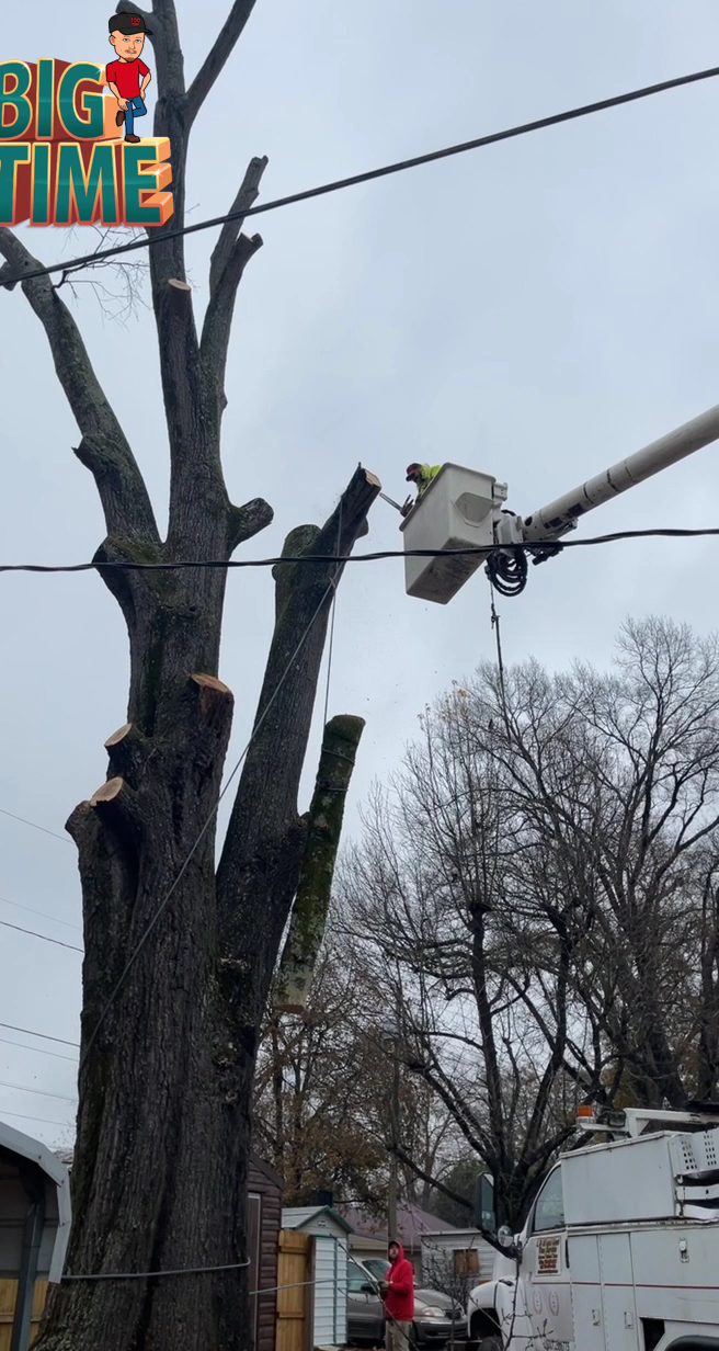 Bucket work on a tall trunk