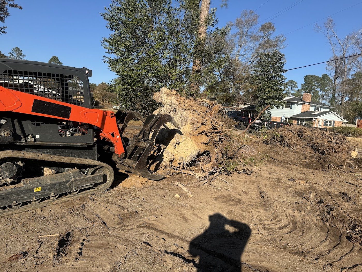Stump and root removal