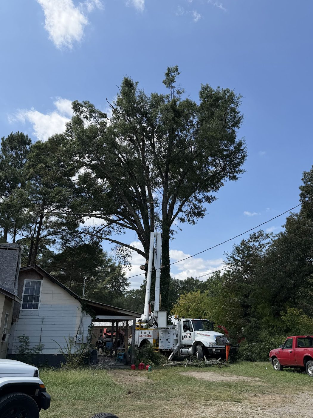 Tree removal by L&M & Them Tree Service